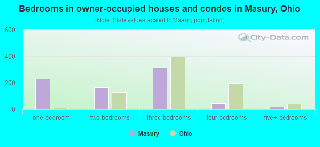 Bedrooms in owner-occupied houses and condos in Masury, Ohio