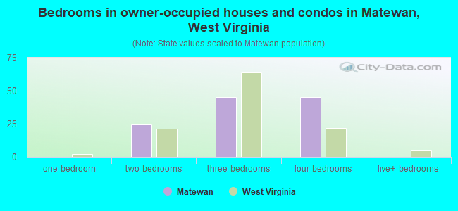 Bedrooms in owner-occupied houses and condos in Matewan, West Virginia