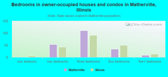 Bedrooms in owner-occupied houses and condos in Matherville, Illinois