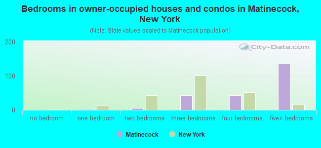 Bedrooms in owner-occupied houses and condos in Matinecock, New York