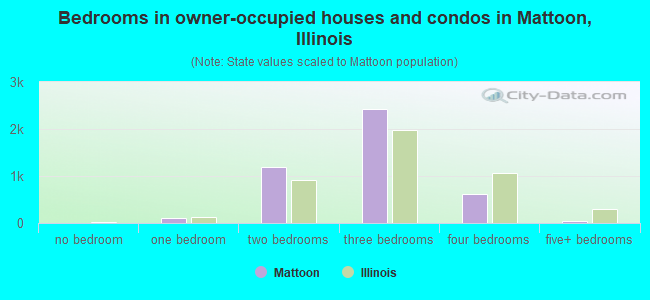 Bedrooms in owner-occupied houses and condos in Mattoon, Illinois