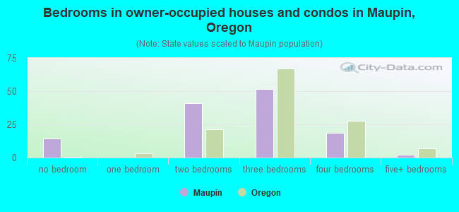 Bedrooms in owner-occupied houses and condos in Maupin, Oregon