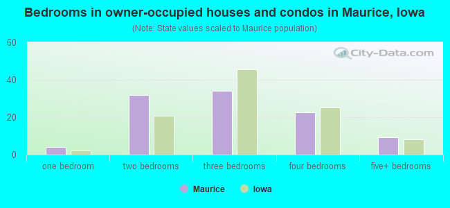 Bedrooms in owner-occupied houses and condos in Maurice, Iowa