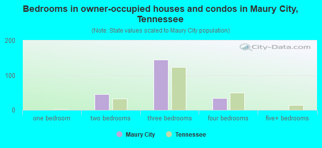 Bedrooms in owner-occupied houses and condos in Maury City, Tennessee