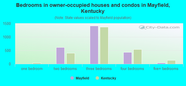 Bedrooms in owner-occupied houses and condos in Mayfield, Kentucky