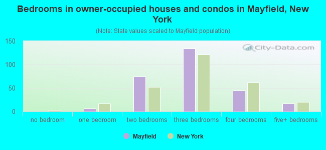 Bedrooms in owner-occupied houses and condos in Mayfield, New York