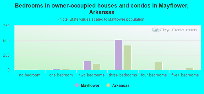 Bedrooms in owner-occupied houses and condos in Mayflower, Arkansas