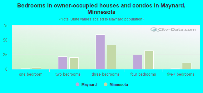 Bedrooms in owner-occupied houses and condos in Maynard, Minnesota