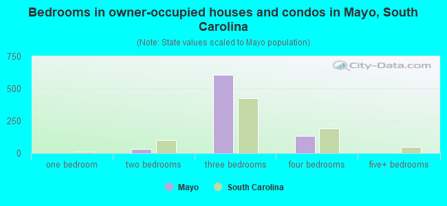 Bedrooms in owner-occupied houses and condos in Mayo, South Carolina