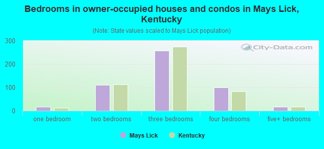 Bedrooms in owner-occupied houses and condos in Mays Lick, Kentucky