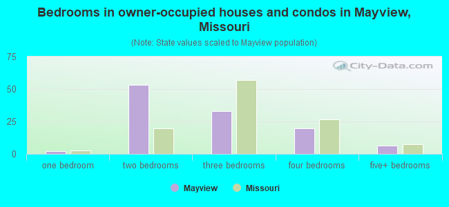 Bedrooms in owner-occupied houses and condos in Mayview, Missouri