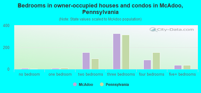 Bedrooms in owner-occupied houses and condos in McAdoo, Pennsylvania