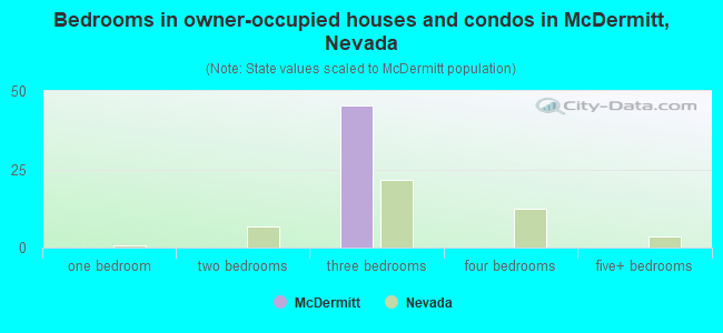 Bedrooms in owner-occupied houses and condos in McDermitt, Nevada