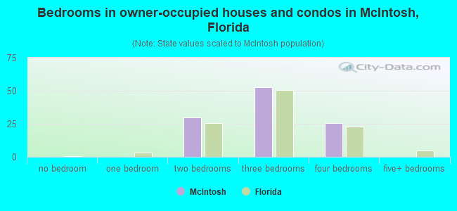 Bedrooms in owner-occupied houses and condos in McIntosh, Florida