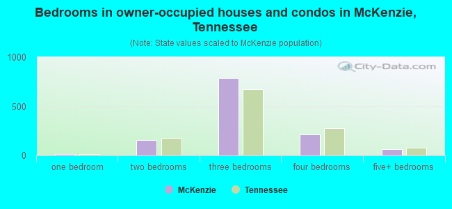 Bedrooms in owner-occupied houses and condos in McKenzie, Tennessee