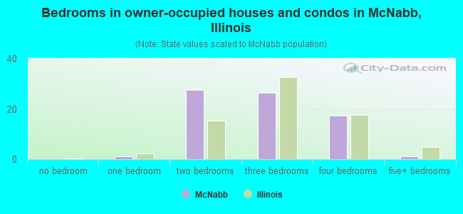 Bedrooms in owner-occupied houses and condos in McNabb, Illinois