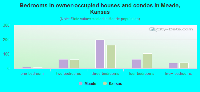 Bedrooms in owner-occupied houses and condos in Meade, Kansas