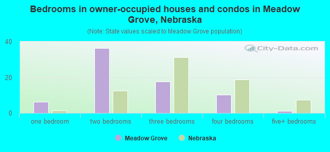 Bedrooms in owner-occupied houses and condos in Meadow Grove, Nebraska