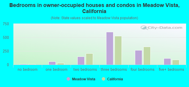 Bedrooms in owner-occupied houses and condos in Meadow Vista, California