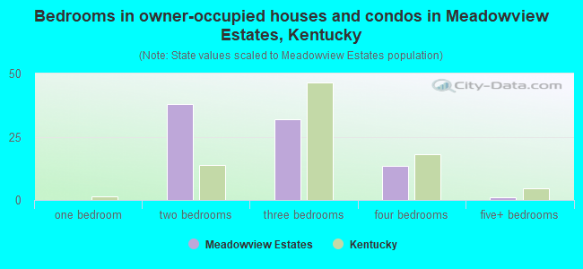 Bedrooms in owner-occupied houses and condos in Meadowview Estates, Kentucky
