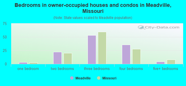 Bedrooms in owner-occupied houses and condos in Meadville, Missouri