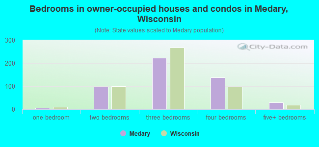 Bedrooms in owner-occupied houses and condos in Medary, Wisconsin