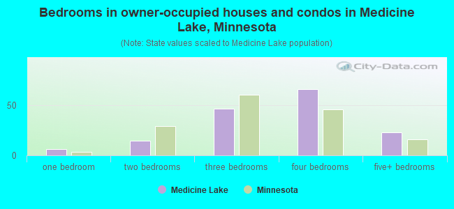 Bedrooms in owner-occupied houses and condos in Medicine Lake, Minnesota