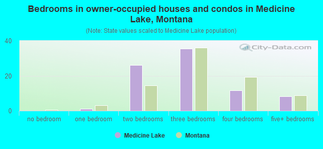 Bedrooms in owner-occupied houses and condos in Medicine Lake, Montana