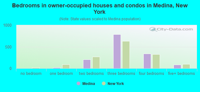 Bedrooms in owner-occupied houses and condos in Medina, New York