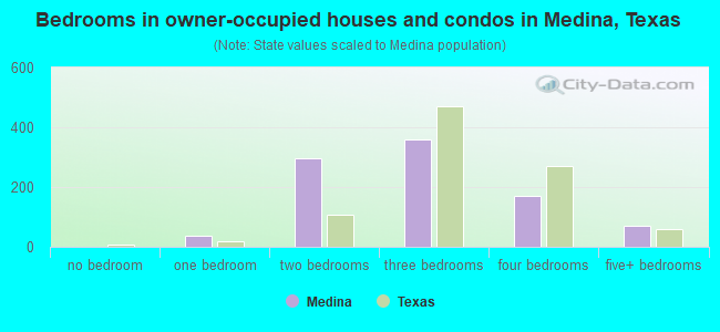 Bedrooms in owner-occupied houses and condos in Medina, Texas