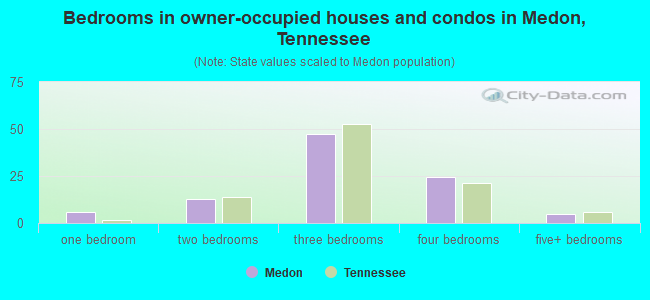 Bedrooms in owner-occupied houses and condos in Medon, Tennessee