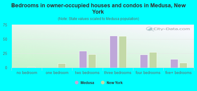 Bedrooms in owner-occupied houses and condos in Medusa, New York