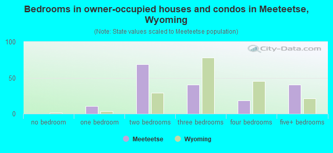 Bedrooms in owner-occupied houses and condos in Meeteetse, Wyoming