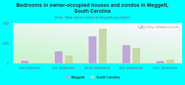 Bedrooms in owner-occupied houses and condos in Meggett, South Carolina