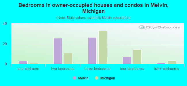 Bedrooms in owner-occupied houses and condos in Melvin, Michigan