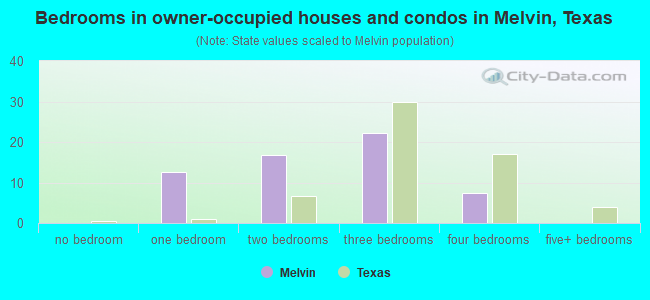 Bedrooms in owner-occupied houses and condos in Melvin, Texas