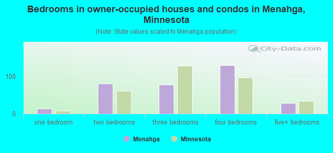 Bedrooms in owner-occupied houses and condos in Menahga, Minnesota