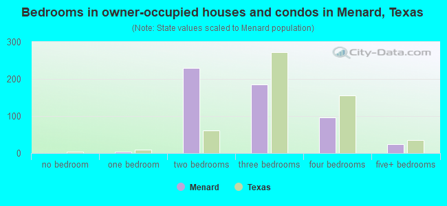 Bedrooms in owner-occupied houses and condos in Menard, Texas