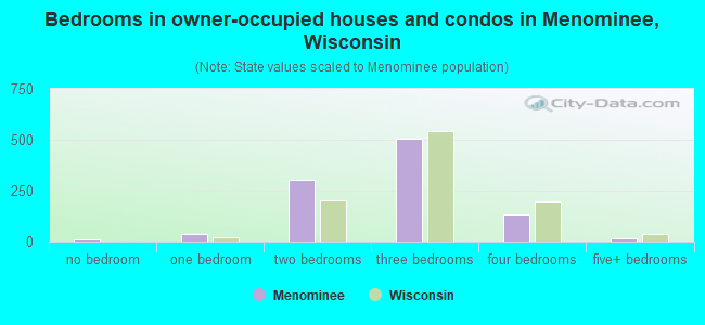Bedrooms in owner-occupied houses and condos in Menominee, Wisconsin