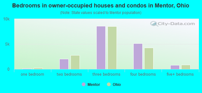 Bedrooms in owner-occupied houses and condos in Mentor, Ohio