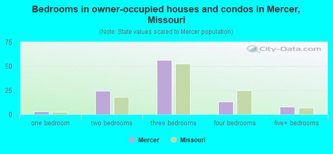 Bedrooms in owner-occupied houses and condos in Mercer, Missouri