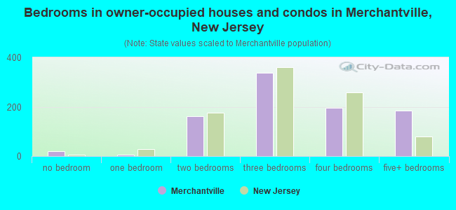 Bedrooms in owner-occupied houses and condos in Merchantville, New Jersey