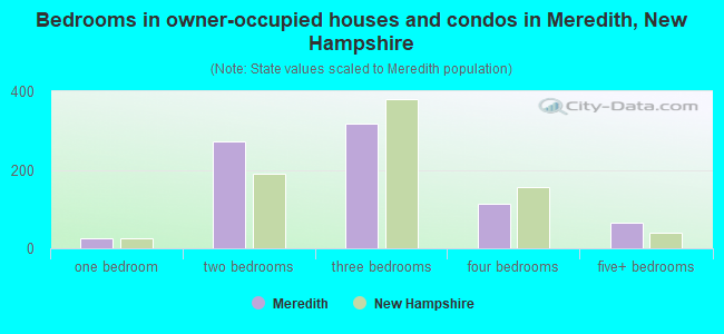 Bedrooms in owner-occupied houses and condos in Meredith, New Hampshire