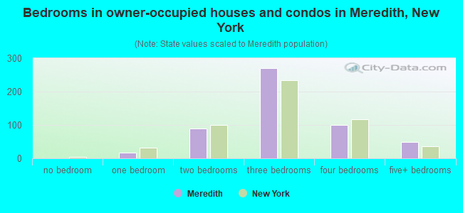 Bedrooms in owner-occupied houses and condos in Meredith, New York