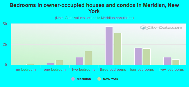Bedrooms in owner-occupied houses and condos in Meridian, New York