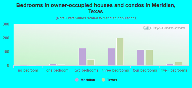 Bedrooms in owner-occupied houses and condos in Meridian, Texas