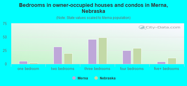 Bedrooms in owner-occupied houses and condos in Merna, Nebraska