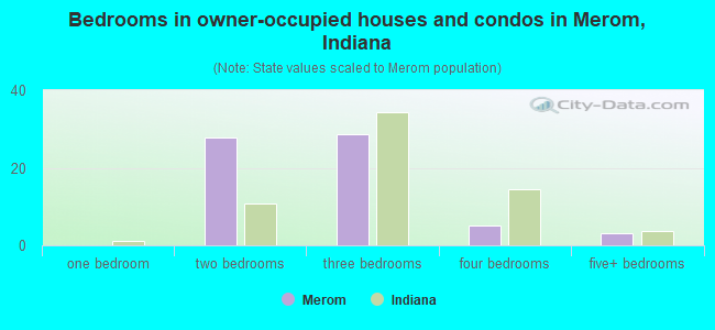 Bedrooms in owner-occupied houses and condos in Merom, Indiana