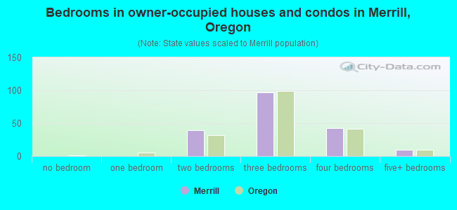 Bedrooms in owner-occupied houses and condos in Merrill, Oregon