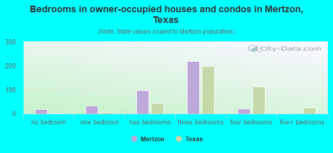 Bedrooms in owner-occupied houses and condos in Mertzon, Texas